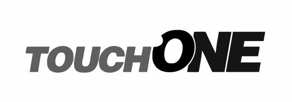 TouchOne